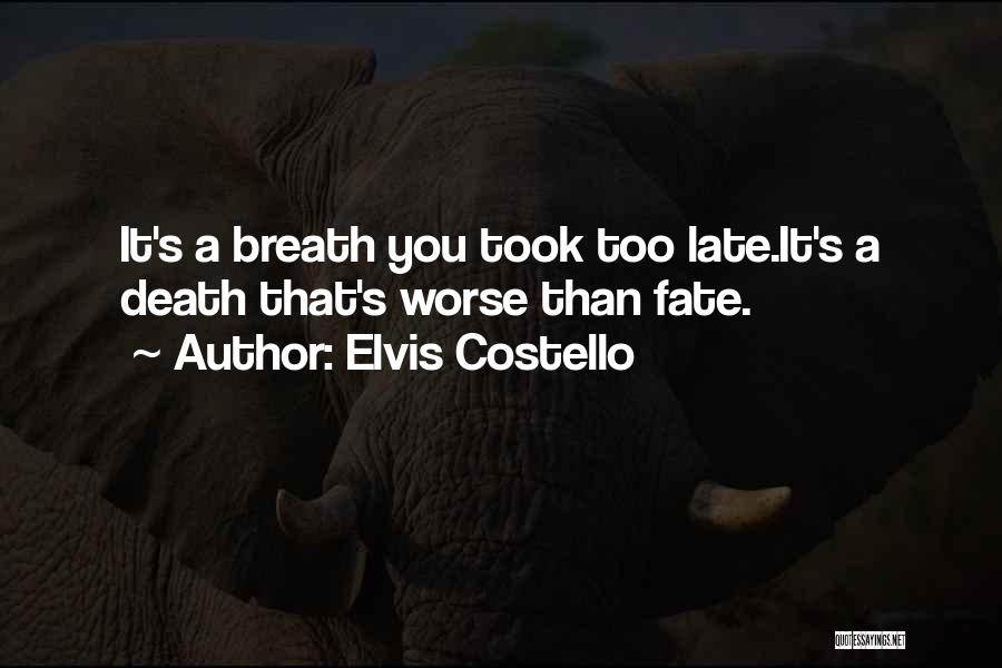 Elvis Costello Quotes 1310814