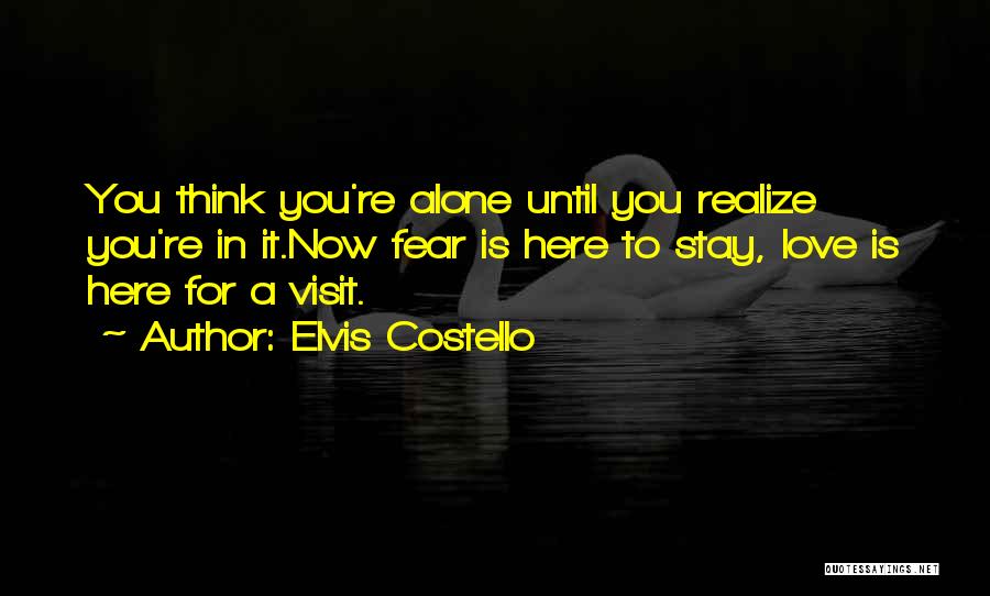 Elvis Costello Quotes 1690393