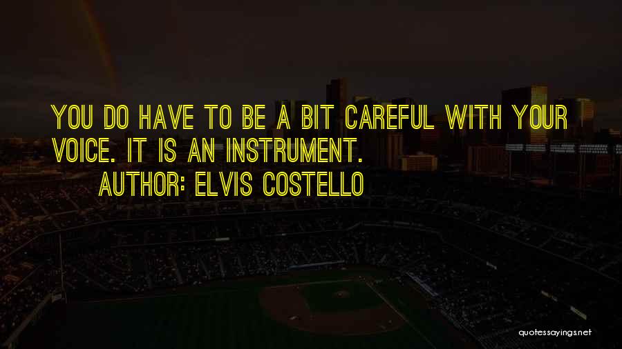 Elvis Costello Quotes 2013383