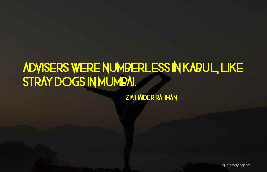 Elvui Quotes By Zia Haider Rahman Elvui Quotes By Zia Haider Rahman