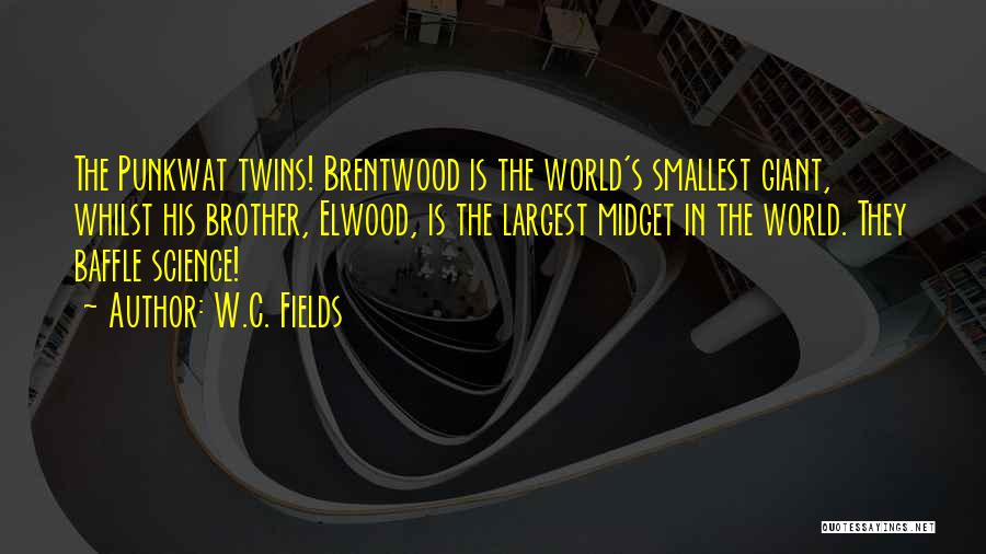 Elwood Quotes By W.C. Fields