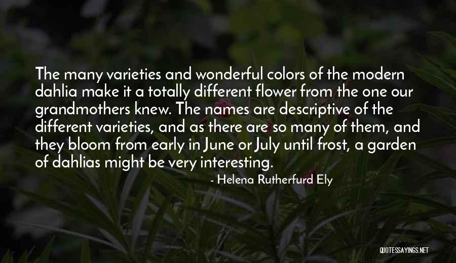 Ely Quotes By Helena Rutherfurd Ely Ely Quotes By Helena Rutherfurd Ely