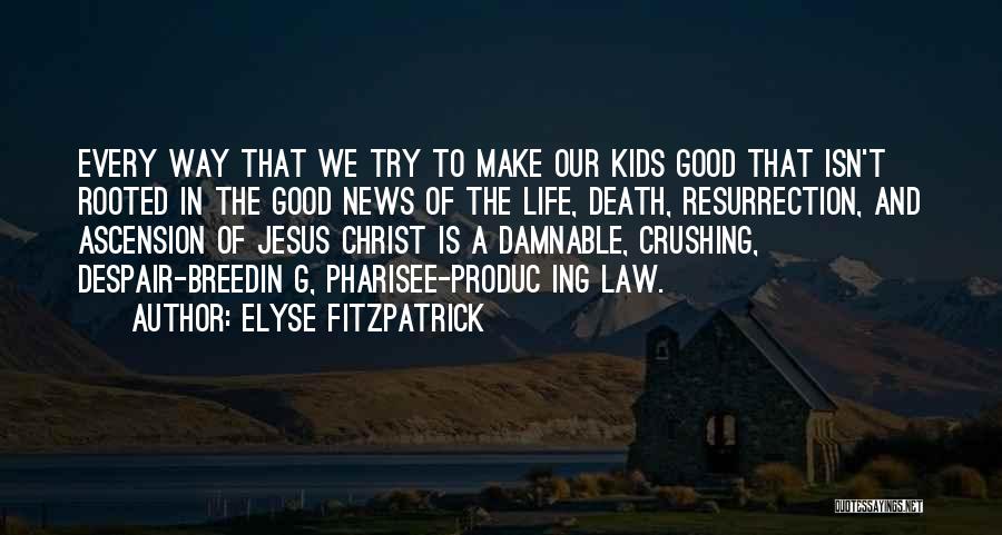 Elyse Fitzpatrick Quotes 247055