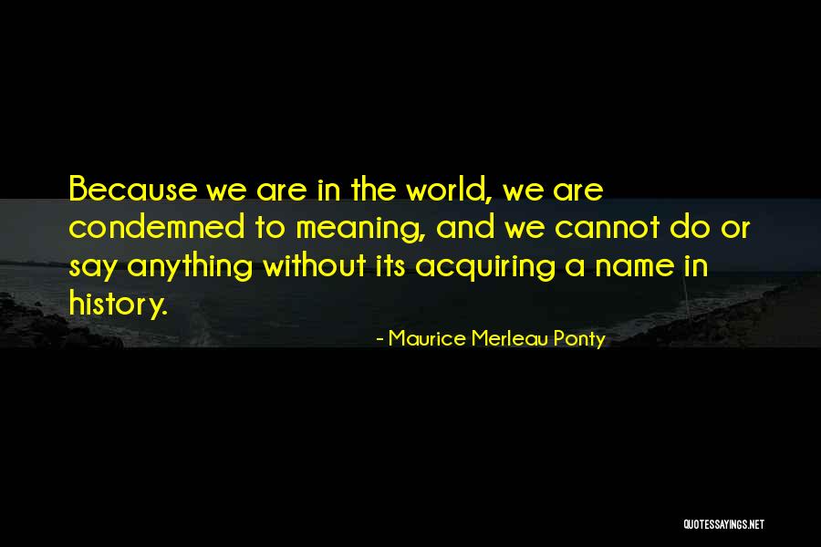 Elyssa Young Quotes By Maurice Merleau Ponty Elyssa Young Quotes By Maurice Merleau Ponty
