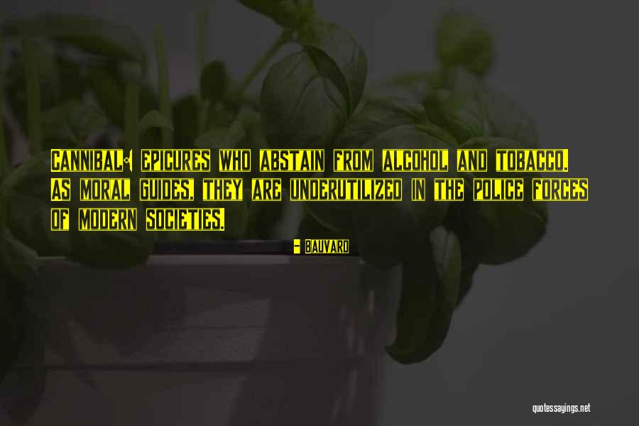 Elyusha Vafaeisefat Quotes By Bauvard Elyusha Vafaeisefat Quotes By Bauvard