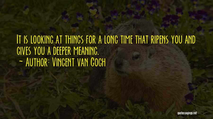 Elyze Iriarte Quotes By Vincent Van Gogh