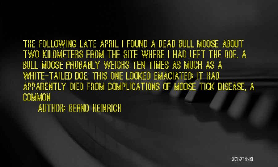 Emaciated Quotes By Bernd Heinrich