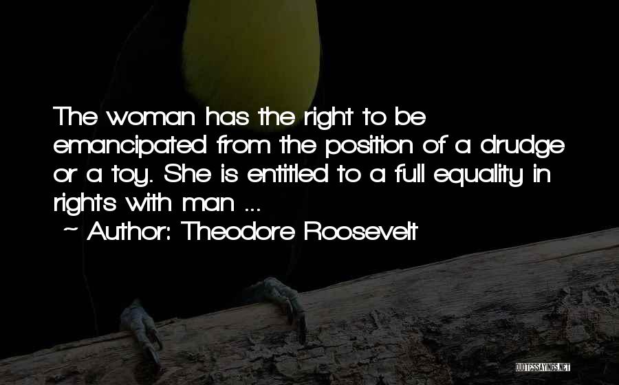 Emancipated Quotes By Theodore Roosevelt