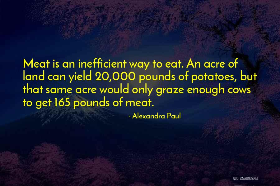 Embarrasement Quotes By Alexandra Paul Embarrasement Quotes By Alexandra Paul