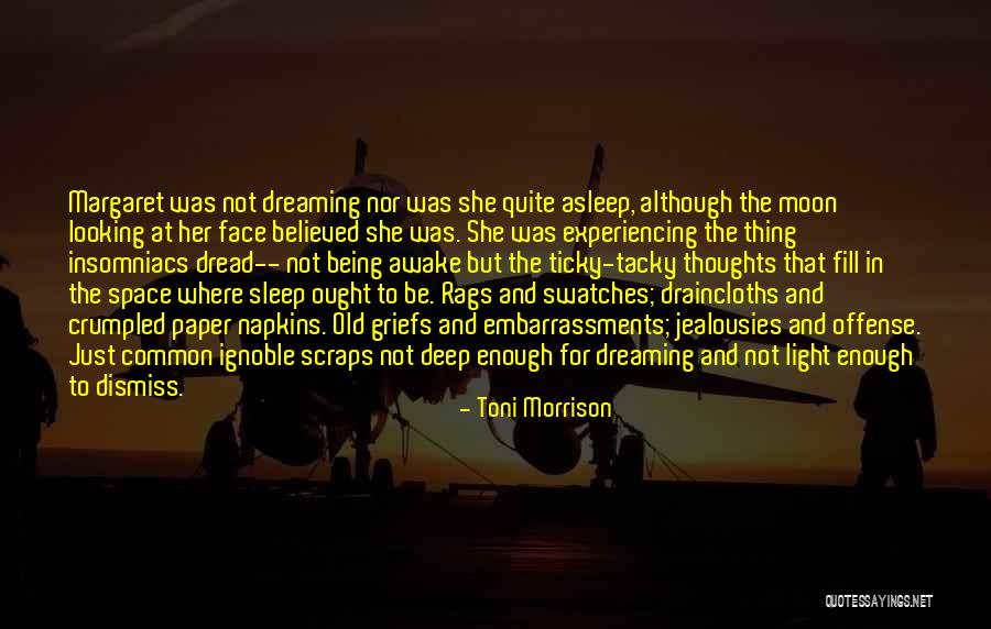 Embarrassments Quotes By Toni Morrison Embarrassments Quotes By Toni Morrison