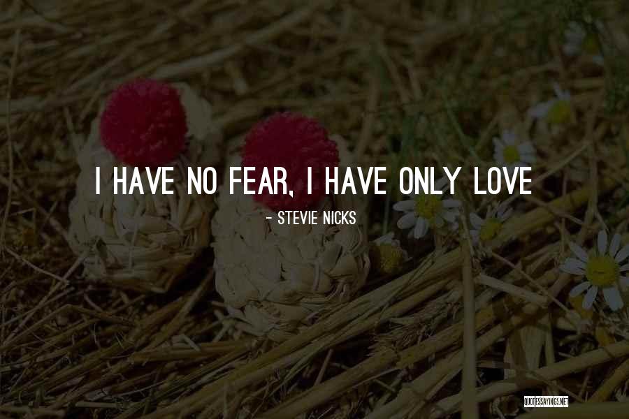 Embassies And Consulates Quotes By Stevie Nicks