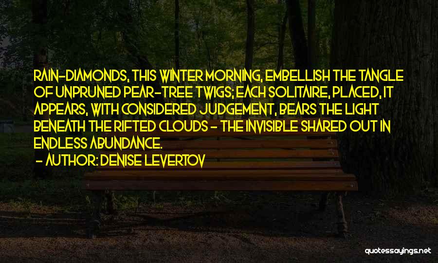 Embellish Quotes By Denise Levertov