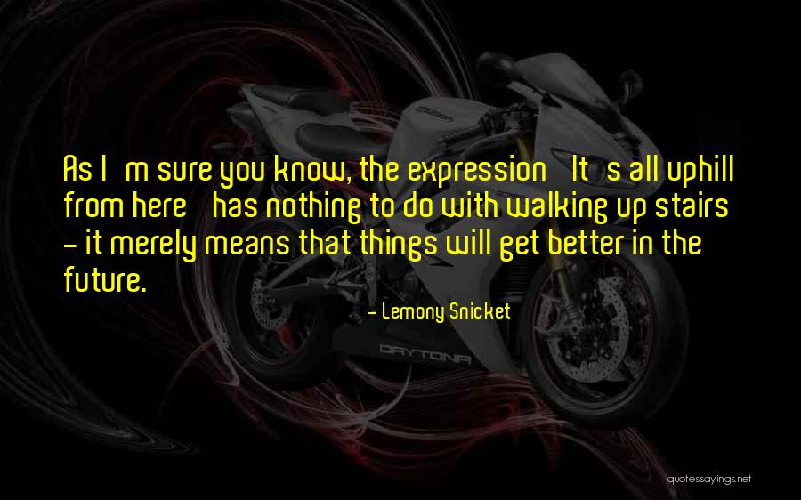Embellisher Quotes By Lemony Snicket Embellisher Quotes By Lemony Snicket
