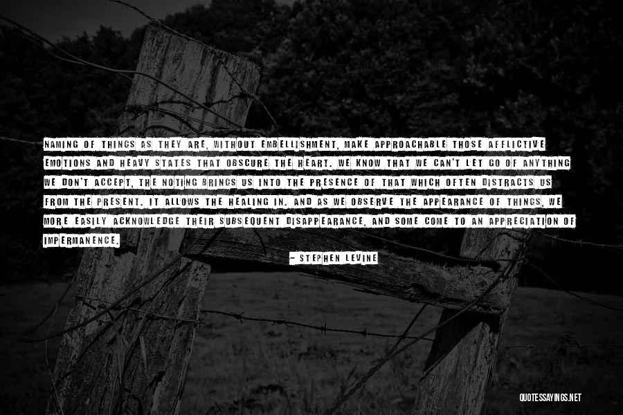 Embellishment Quotes By Stephen Levine Embellishment Quotes By Stephen Levine