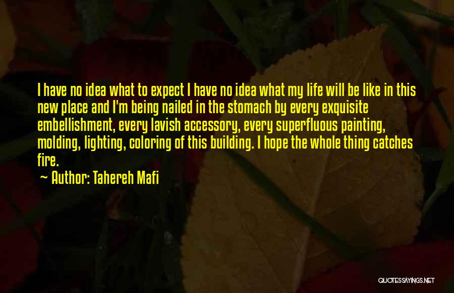 Embellishment Quotes By Tahereh Mafi