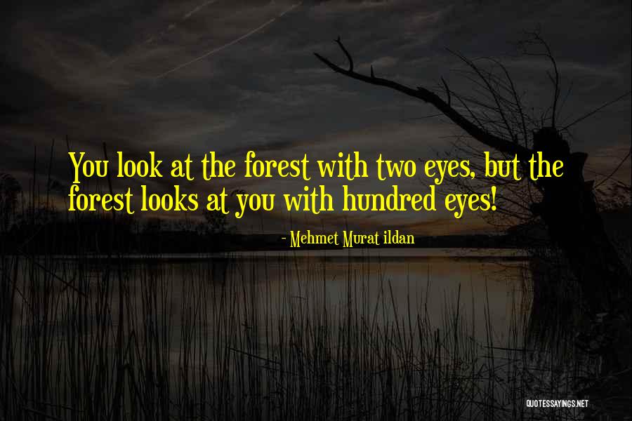 Ember And Chase Flashback Quotes By Mehmet Murat Ildan Ember And Chase Flashback Quotes By Mehmet Murat Ildan
