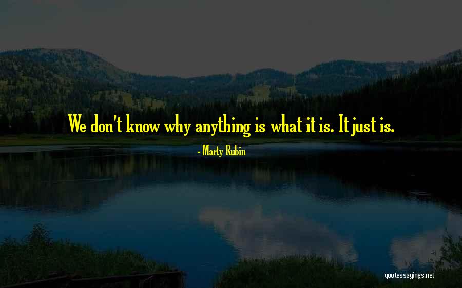 Emblemas De Futebol Quotes By Marty Rubin Emblemas De Futebol Quotes By Marty Rubin