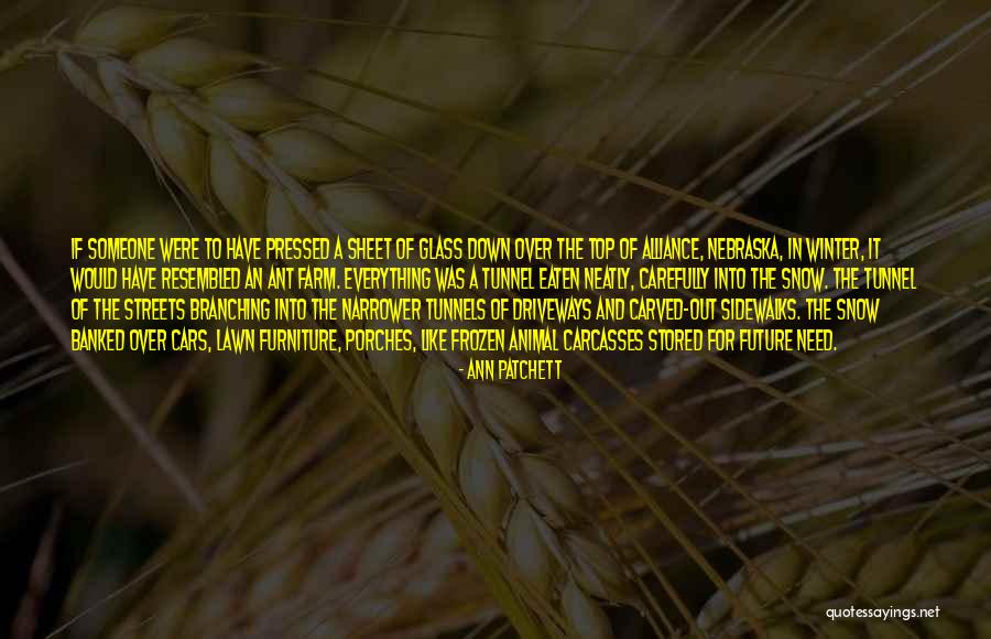 Embler Health Quotes By Ann Patchett Embler Health Quotes By Ann Patchett