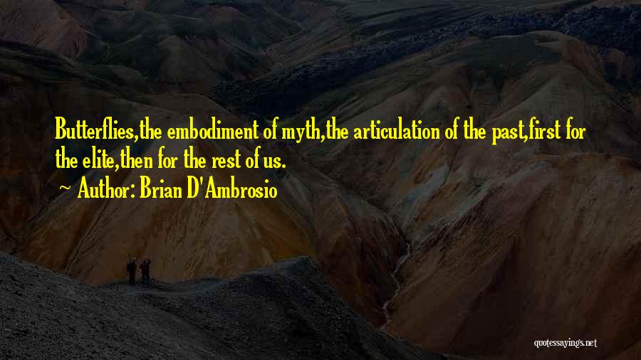 Embodiment Quotes By Brian D'Ambrosio