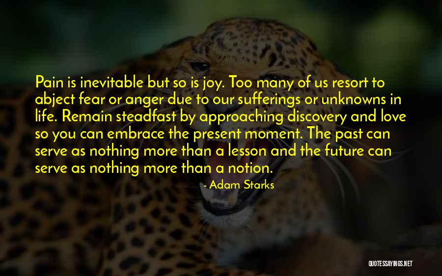 Embrace Joy Quotes By Adam Starks Embrace Joy Quotes By Adam Starks