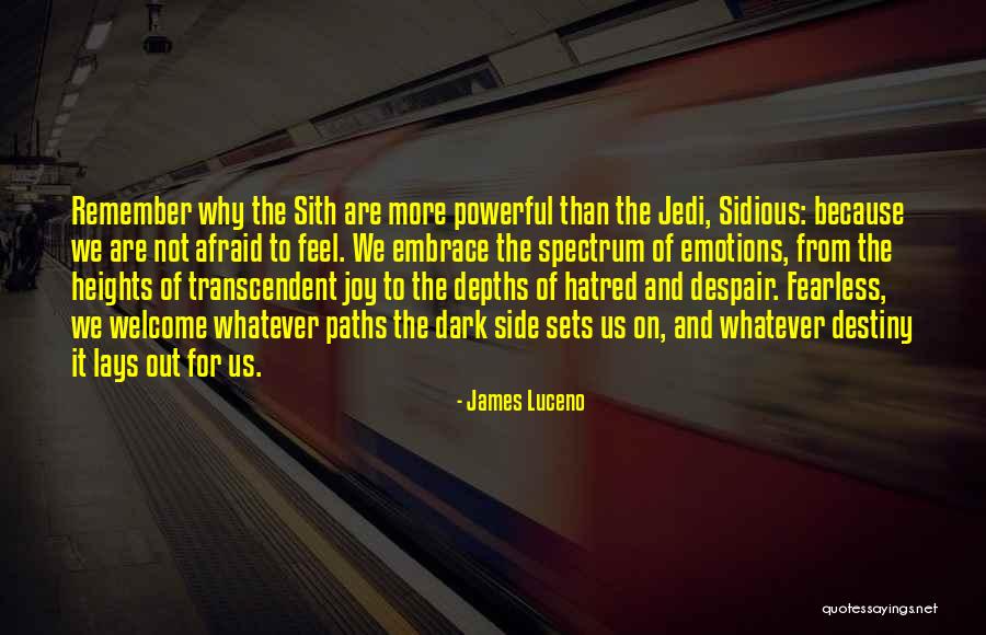 Embrace Joy Quotes By James Luceno Embrace Joy Quotes By James Luceno