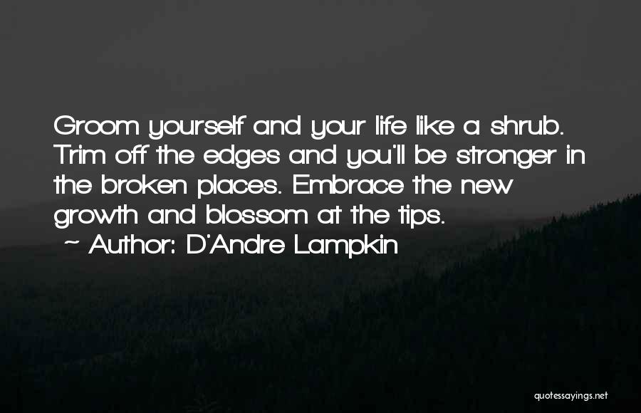 Embrace New Life Quotes By D'Andre Lampkin