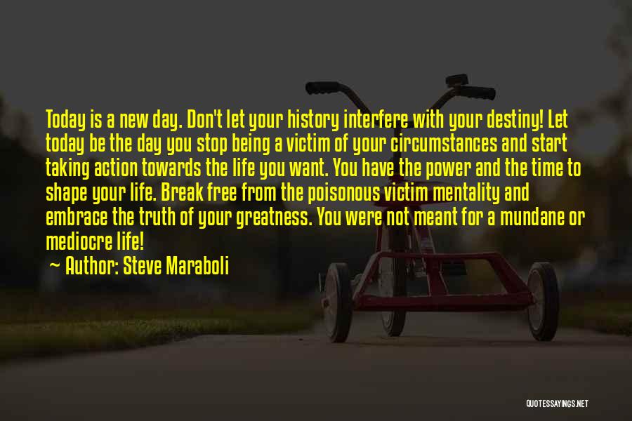 Embrace New Life Quotes By Steve Maraboli