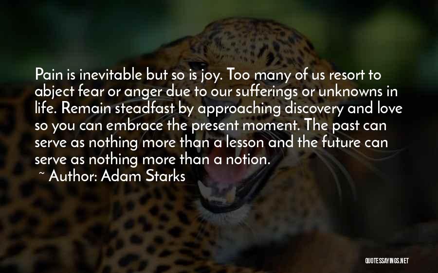 Embrace Pain Quotes By Adam Starks