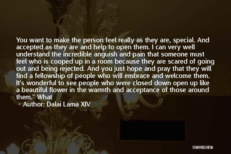 Embrace Pain Quotes By Dalai Lama XIV