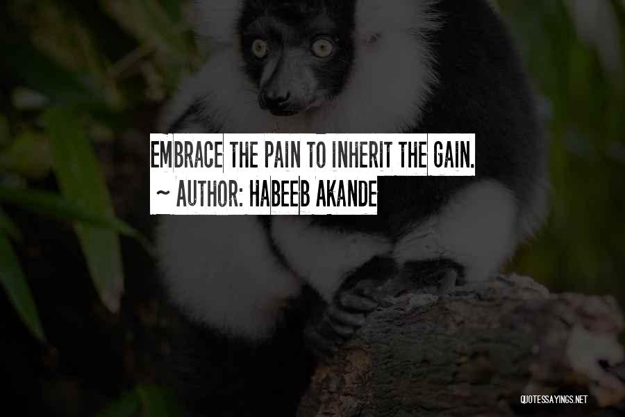 Embrace Pain Quotes By Habeeb Akande