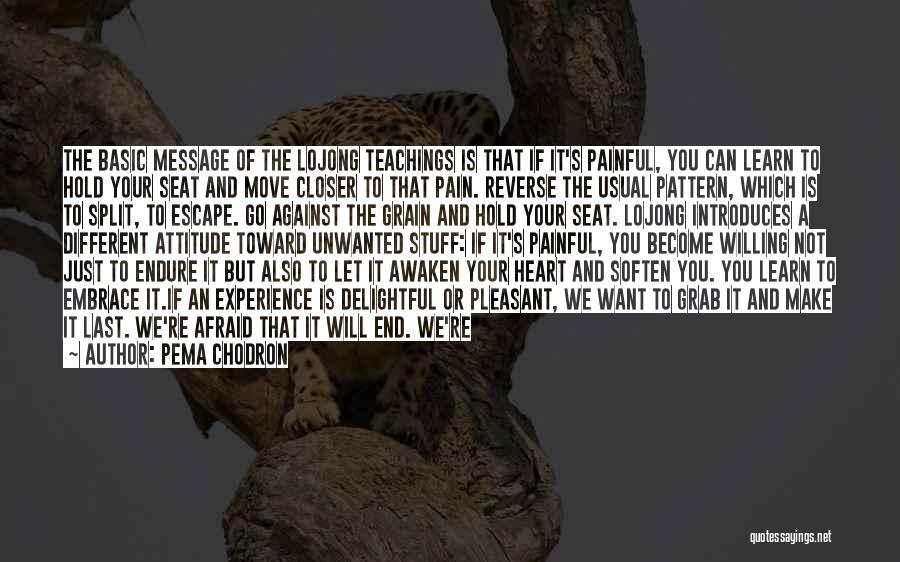 Embrace Pain Quotes By Pema Chodron