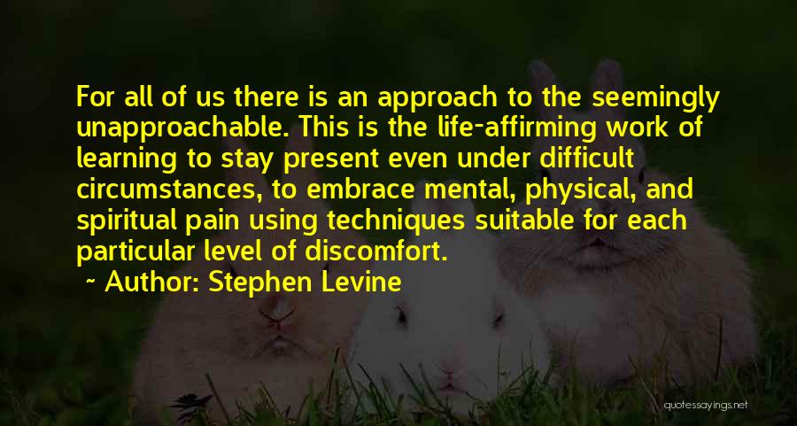 Embrace Pain Quotes By Stephen Levine