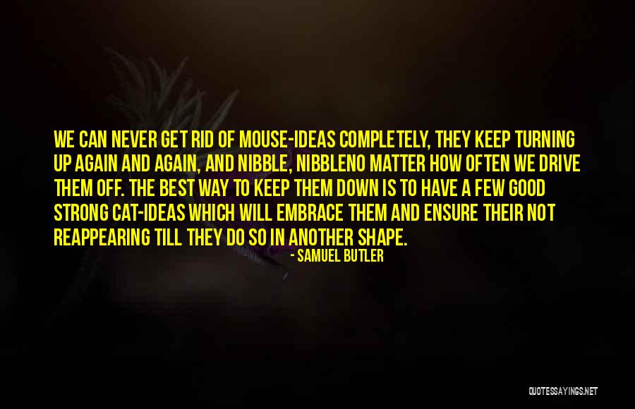 Embrace The Best Quotes By Samuel Butler Embrace The Best Quotes By Samuel Butler
