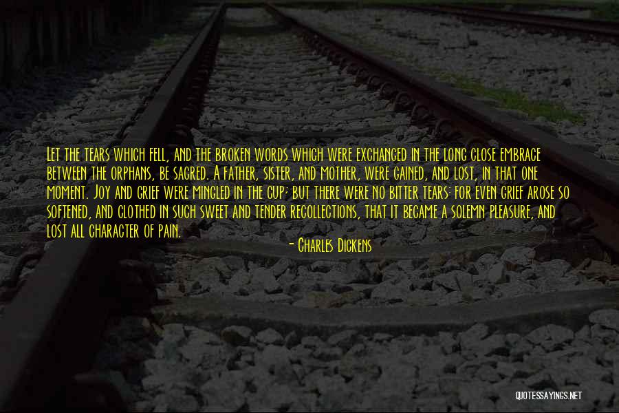 Embrace The In Between Quotes By Charles Dickens