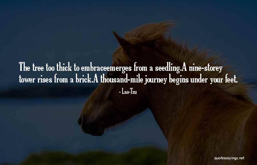 Embrace The Journey Quotes By Lao-Tzu Embrace The Journey Quotes By Lao-Tzu