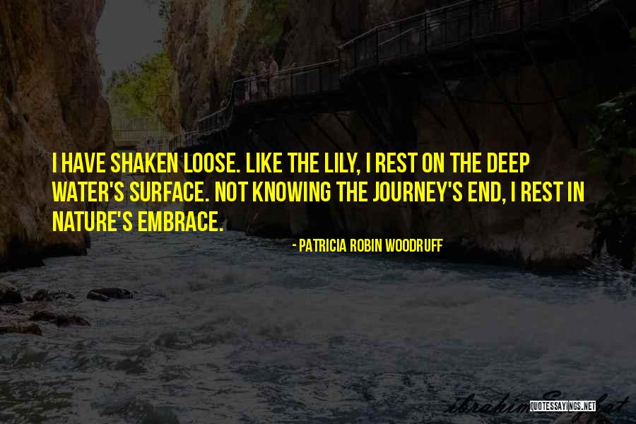 Embrace The Journey Quotes By Patricia Robin Woodruff Embrace The Journey Quotes By Patricia Robin Woodruff