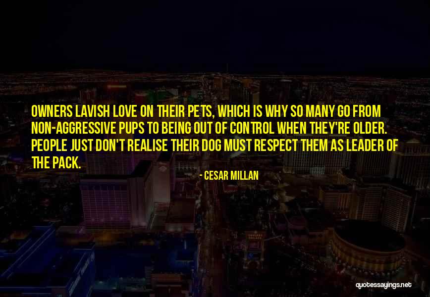 Embrace The Weird Quotes By Cesar Millan Embrace The Weird Quotes By Cesar Millan