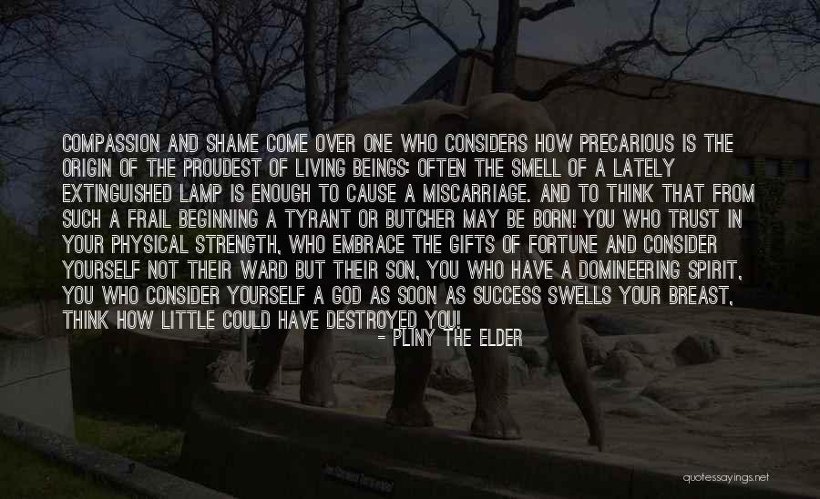 Embrace Your Shame Quotes By Pliny The Elder Embrace Your Shame Quotes By Pliny The Elder