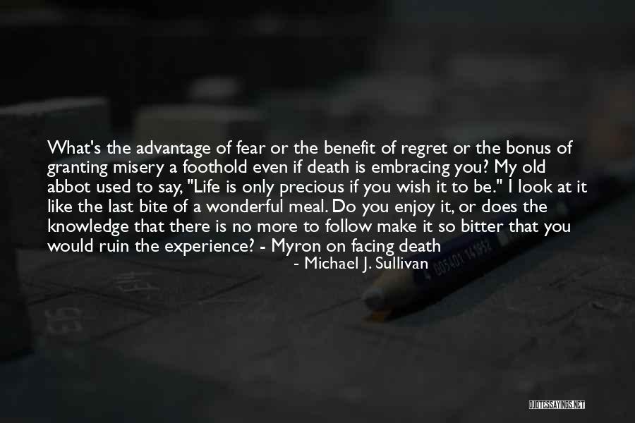 Embracing Fear Quotes By Michael J. Sullivan