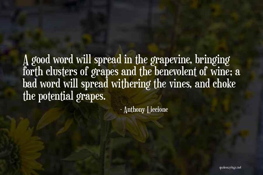 Embracing Opportunity Quotes By Anthony Liccione Embracing Opportunity Quotes By Anthony Liccione