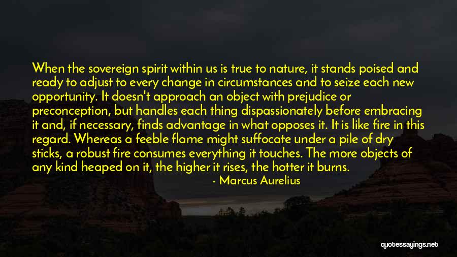 Embracing Opportunity Quotes By Marcus Aurelius Embracing Opportunity Quotes By Marcus Aurelius