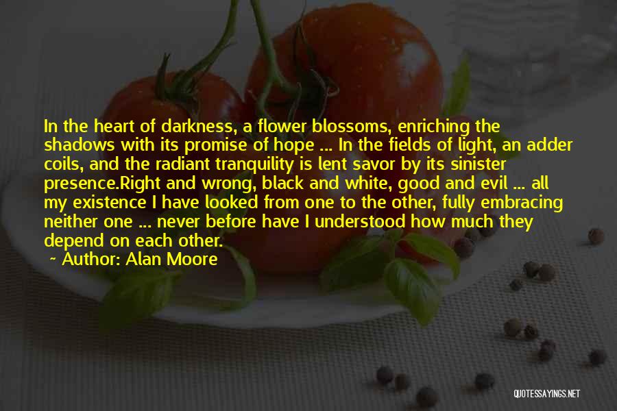 Embracing The Darkness Quotes By Alan Moore