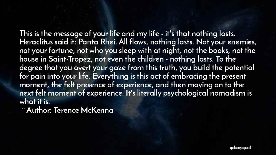 Embracing The Moment Quotes By Terence McKenna