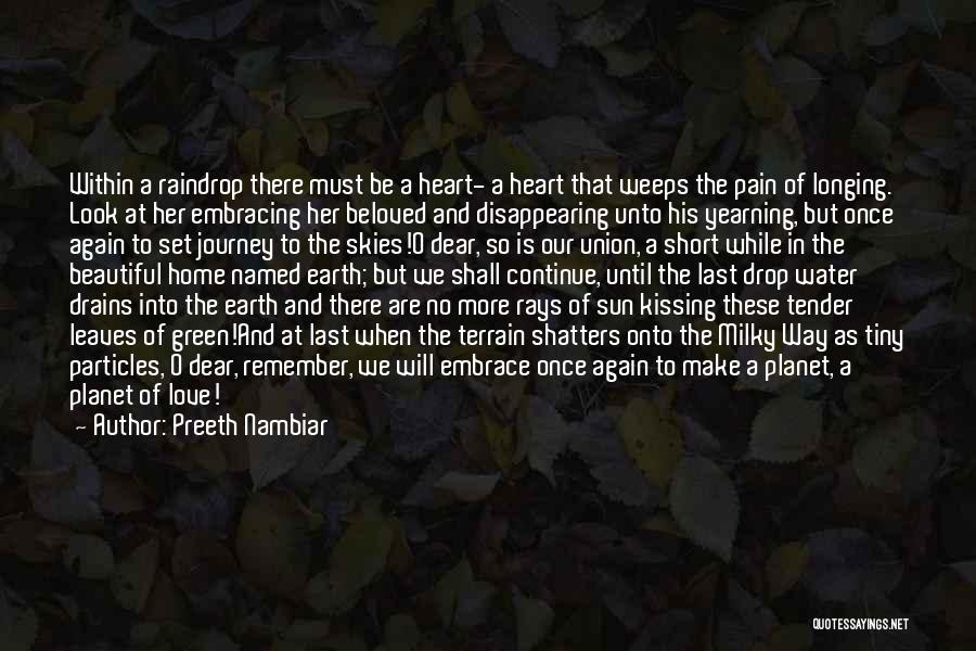 Embracing The Pain Quotes By Preeth Nambiar