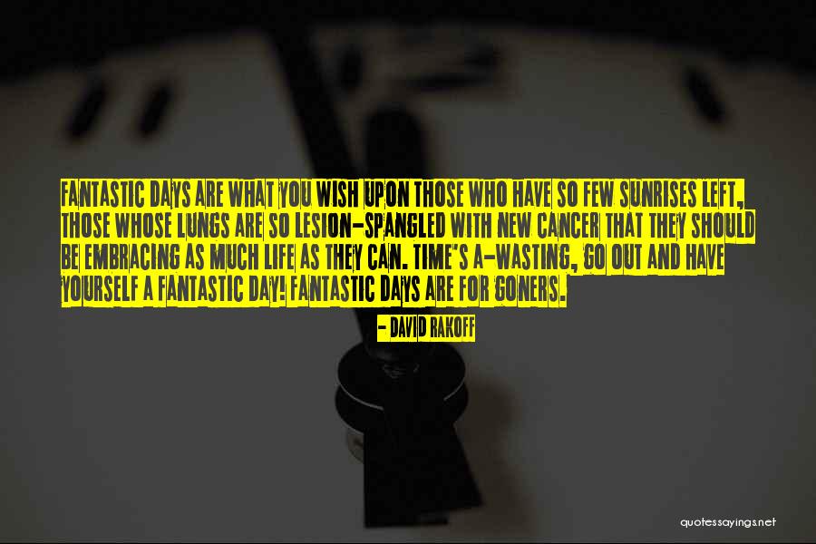Embracing The Time I Have Left Quotes By David Rakoff Embracing The Time I Have Left Quotes By David Rakoff