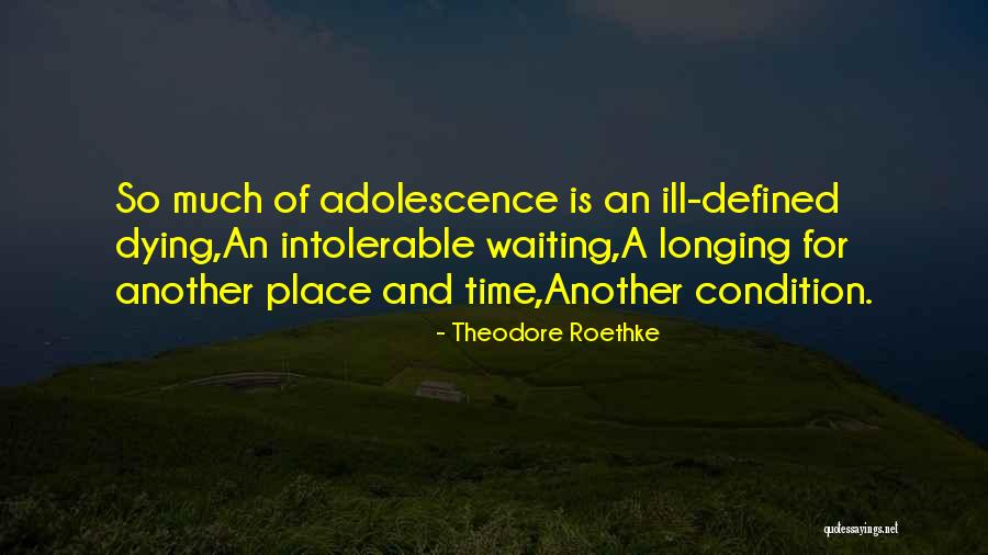 Embrasser Conjugaison Quotes By Theodore Roethke Embrasser Conjugaison Quotes By Theodore Roethke