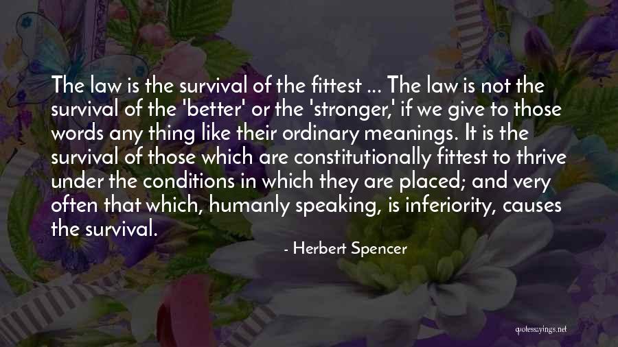 Embriagada Quotes By Herbert Spencer Embriagada Quotes By Herbert Spencer