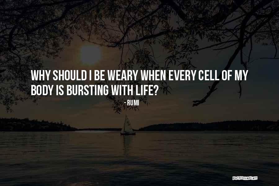 Embrionario Tejido Quotes By Rumi Embrionario Tejido Quotes By Rumi