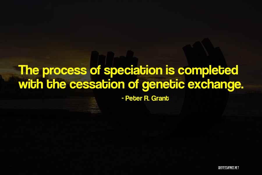 Embrujado Memes Quotes By Peter R. Grant Embrujado Memes Quotes By Peter R. Grant
