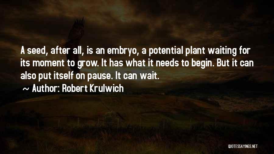 Embryo Quotes By Robert Krulwich